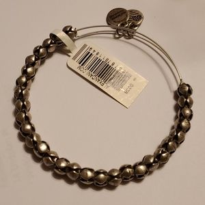 Alex and Ani Traveler Silvertone Bracelet